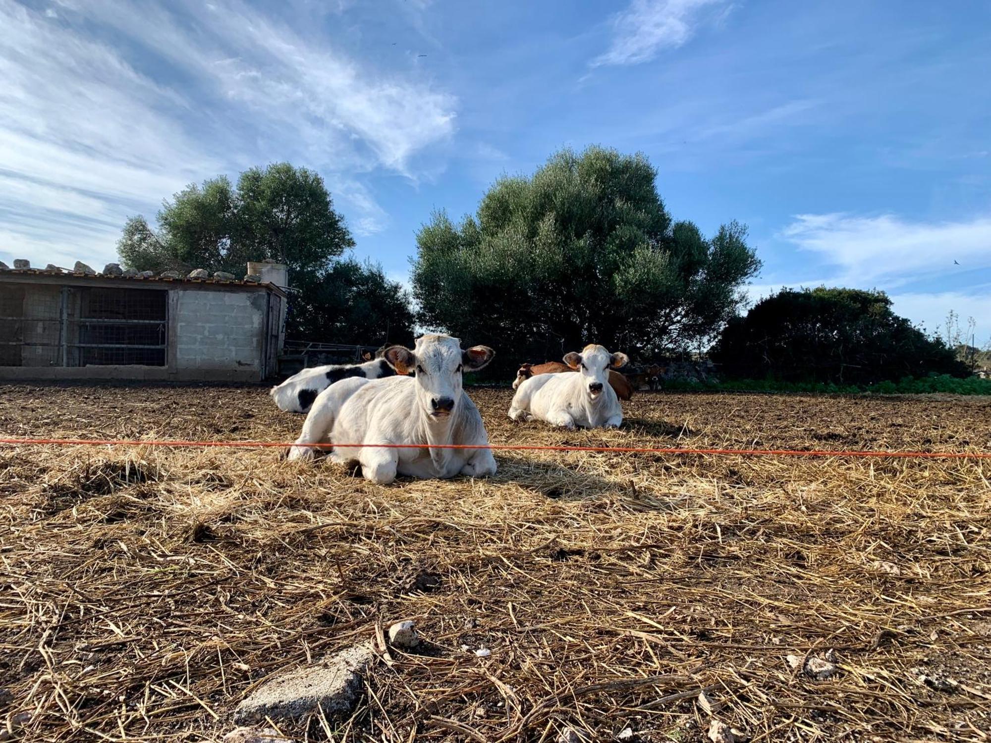 Cozzo Spadaro B&B Portopalo Di Capo Passero エクステリア 写真